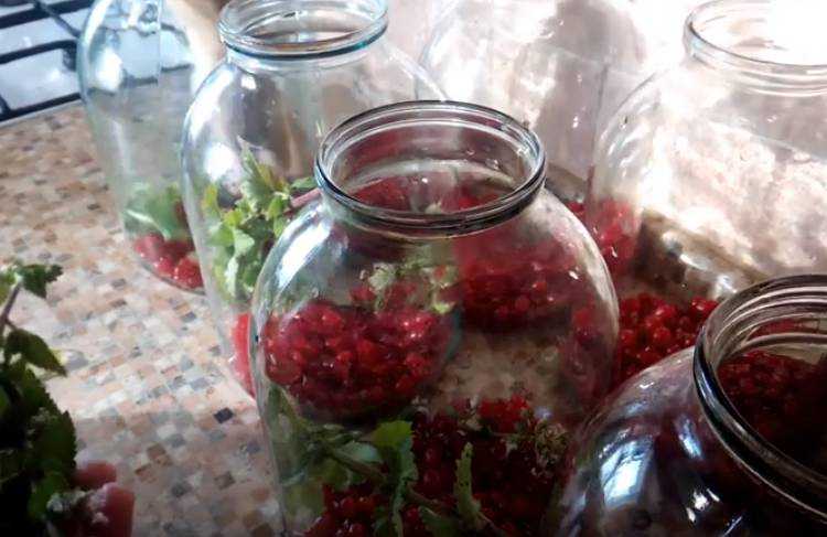 Компот из красной смородины на зиму: 6 рецептов