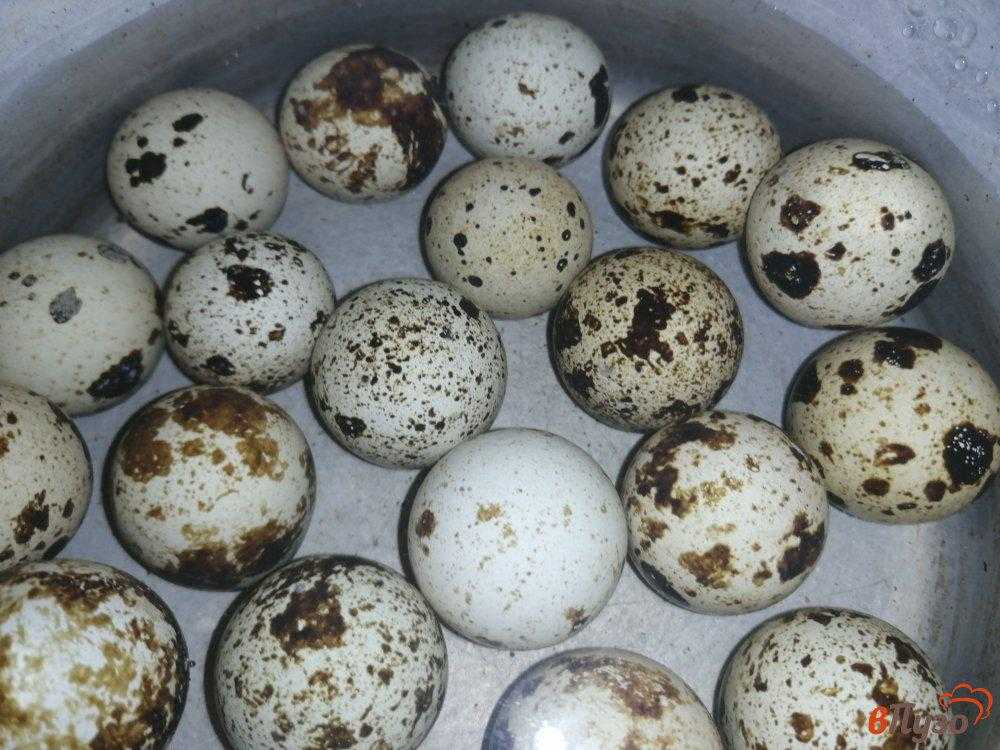 Маринованные перепелиные яйца – рецепт