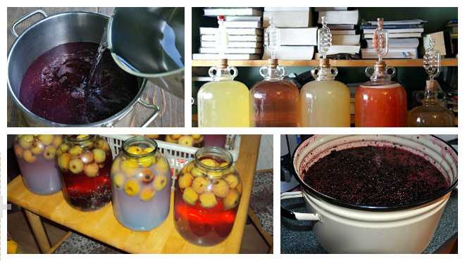 Как приготовить вино из варенья с дрожжами: поиск по ингредиентам, советы, отзывы, пошаговые фото, подсчет калорий, удобная печать, изменение порций, похожие рецепты