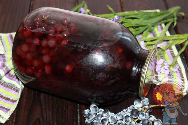 Виноградный сок на зиму - 6 рецептов в домашних условиях с пошаговыми фото