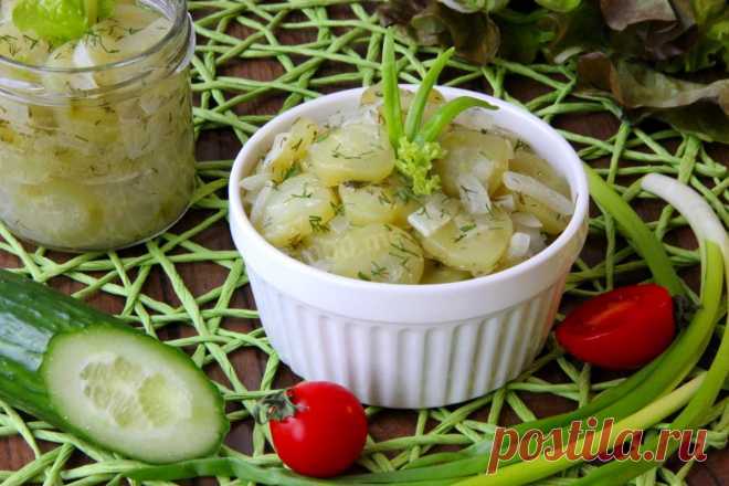 Салат из огурцов на зиму — 15 самых лучших рецептов