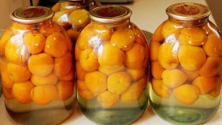 «фанта» из абрикосов и апельсин — 4 пошаговых рецептов компота на зиму