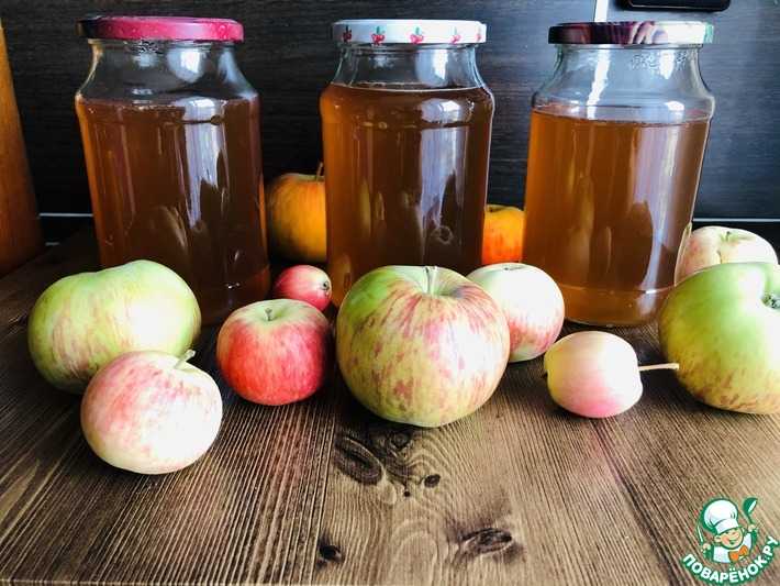 Яблочный сок на зиму через соковыжималку: рецепты приготовления