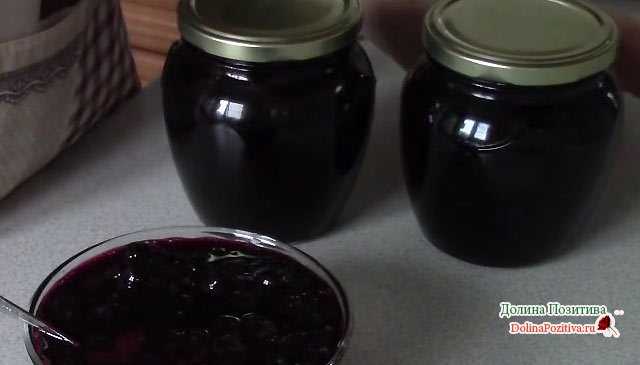 Варенье из черноплодной рябины рецепты со сливами