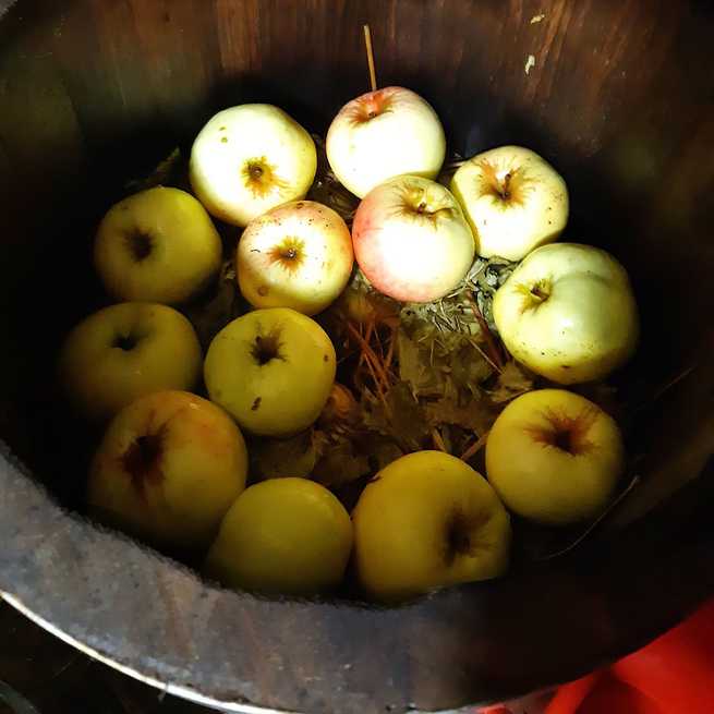 Мочёные яблоки на зиму в домашних условиях: лучшие рецепты приготовления (в банках, в бочке, с сахаром, хреном, медом и горчицей)