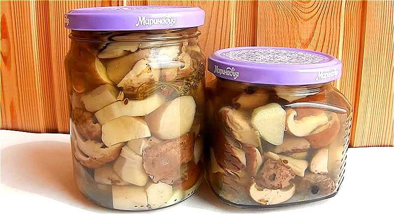 Как приготовить белые грибы маринованные с уксусом и луком на зиму: поиск по ингредиентам, советы, отзывы, пошаговые фото, подсчет калорий, изменение порций, похожие рецепты