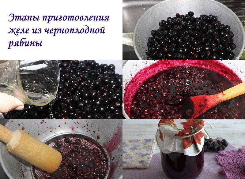 Черноплодная рябина на зиму: лучшие рецепты заготовок с фото