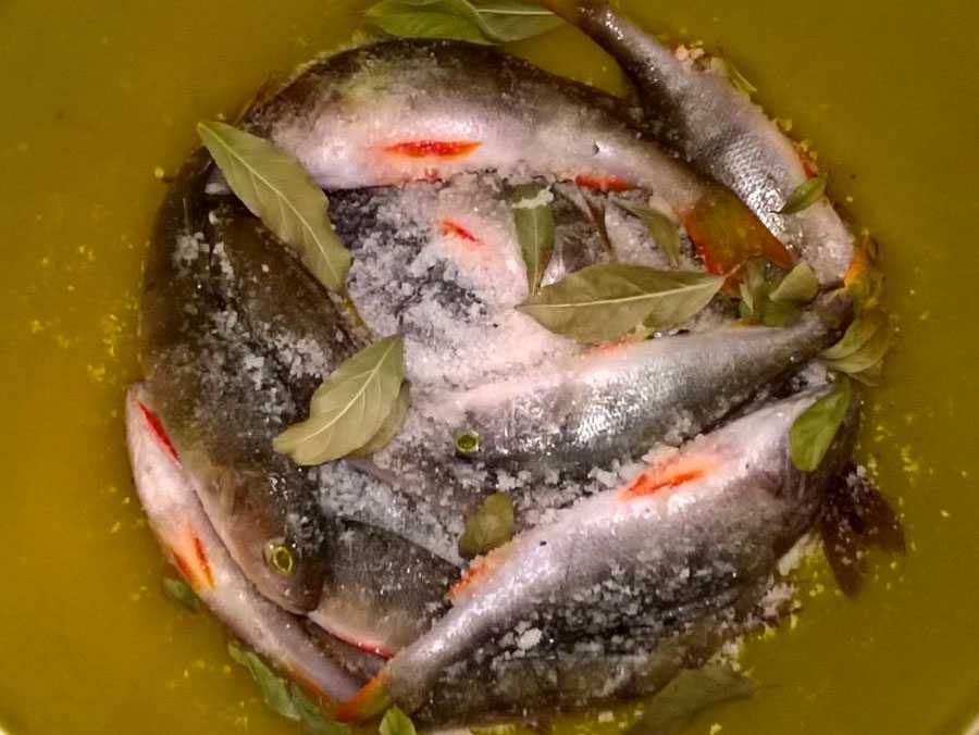 Сухой посол рыбы в домашних условиях рецепт: советы бывалым