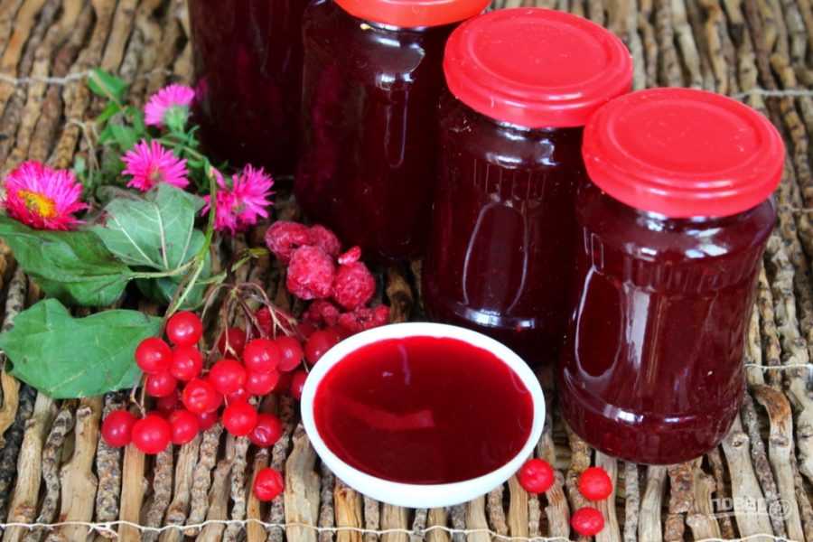 Рябина красная, 20+ рецептов, полезных для здоровья | ninapozyabina.ru