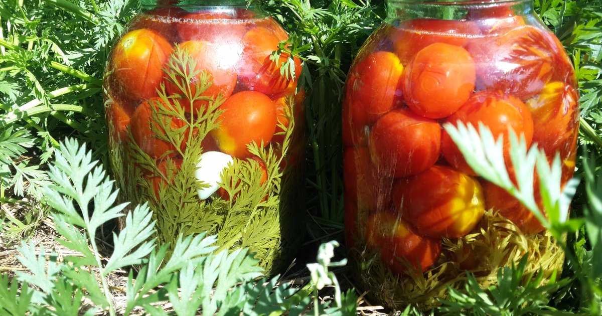 Помидоры с морковной ботвой на зиму: рецепты маринования с фото и видео
