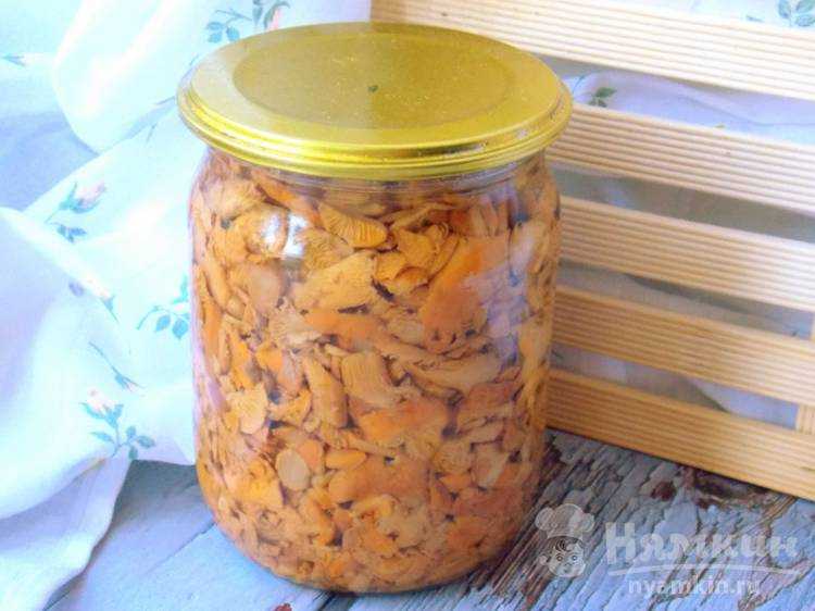 Лисички на зиму - 11 рецептов приготовления пошагово - 1000.menu