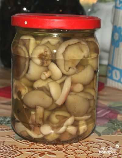 Маринованные маслята на зиму - лучшие рецепты вкуснейшей грибной закуски