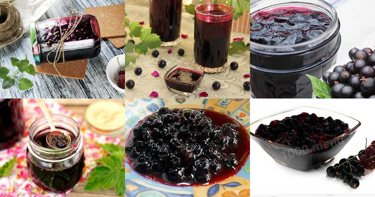 Красная и черная смородина без сахара на зиму: лучшие рецепты заготовки. компот, сок и варенье из смородины без добавления сахара, а также заморозка ягод