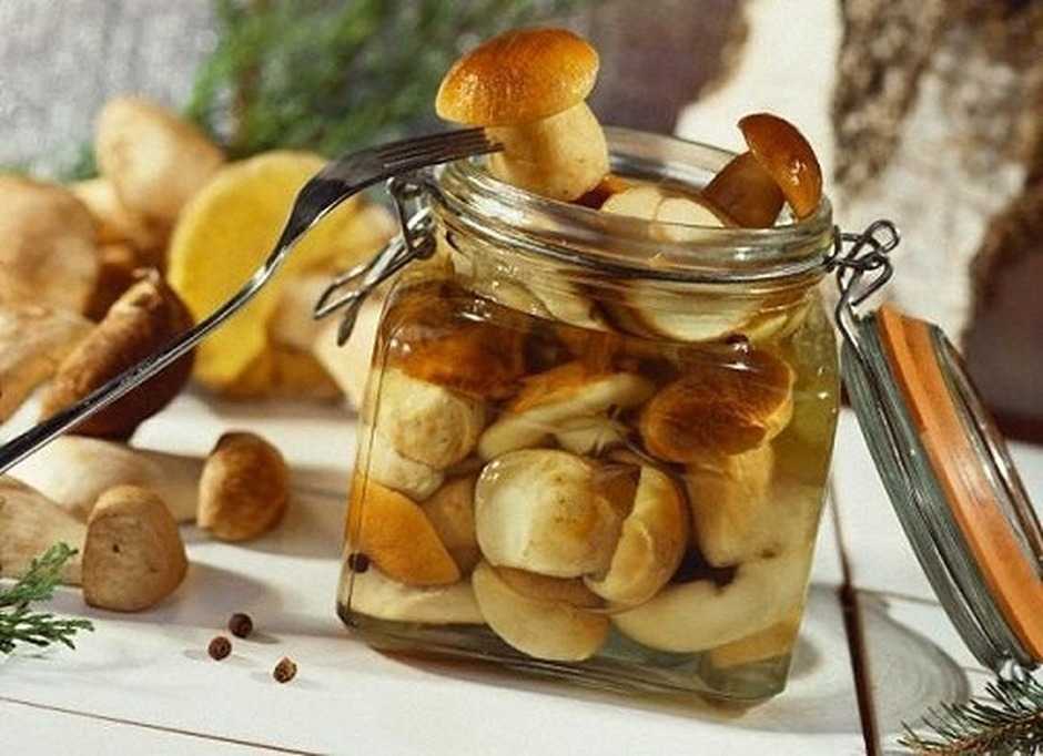 Маринованные белые грибы: простой рецепт приготовления боровиков на зиму