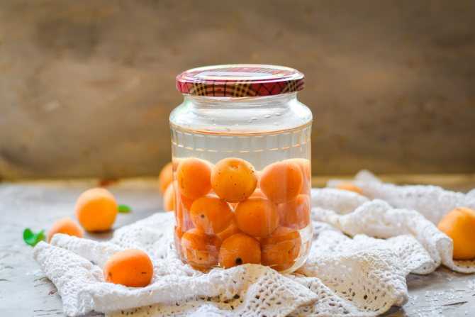 На зиму компот из абрикосов: топ 15 простых рецептов с фото и видео