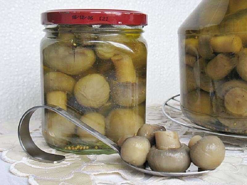 Жареные шампиньоны на зиму в банках (3 способа заготовки); заготовки жареных грибов на зиму