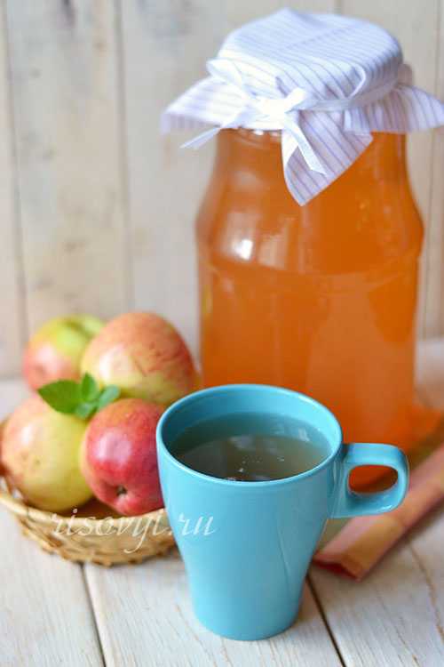 Как приготовить тыквенный сок на зиму с яблоками в соковарке: поиск по ингредиентам, советы, отзывы, подсчет калорий, изменение порций, похожие рецепты