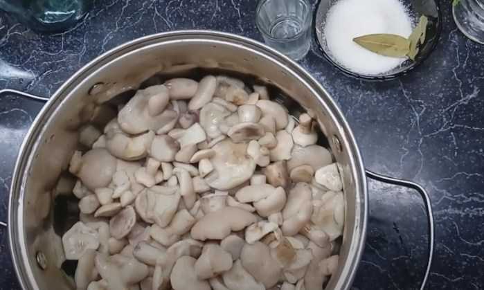 Маринованные маслята на зиму – 10 рецептов приготовления с пошаговыми фото