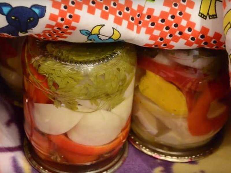 Кабачки и патиссоны – вкусные заготовки на зиму, рецепты с видео
