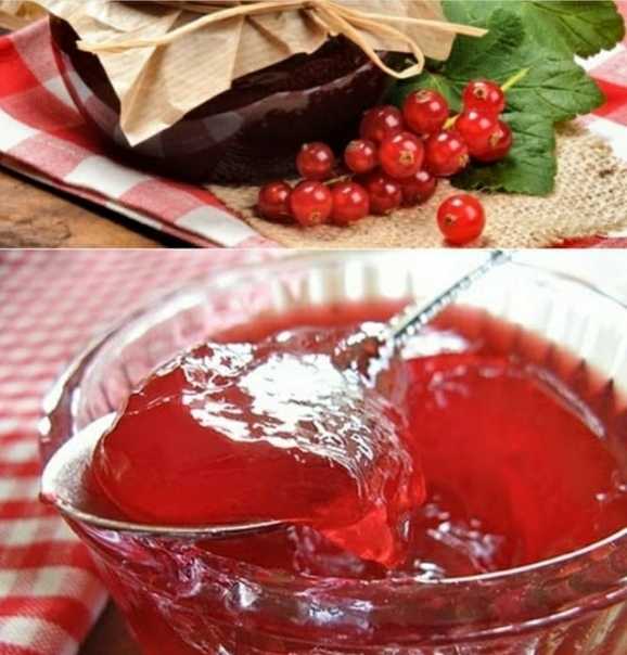 Джем из красной смородины: рецепты на зиму с фото, как приготовить с сахаром