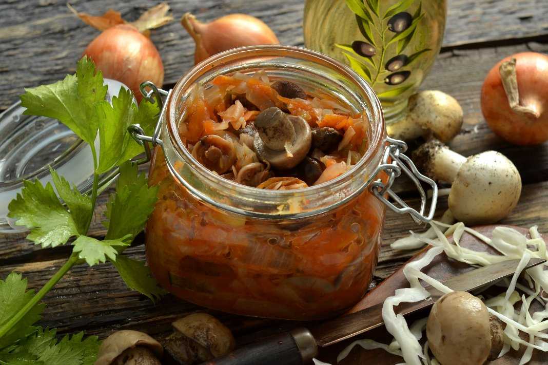 Солянка с грибами на зиму - рецепты приготовления с капустой в домашних условиях