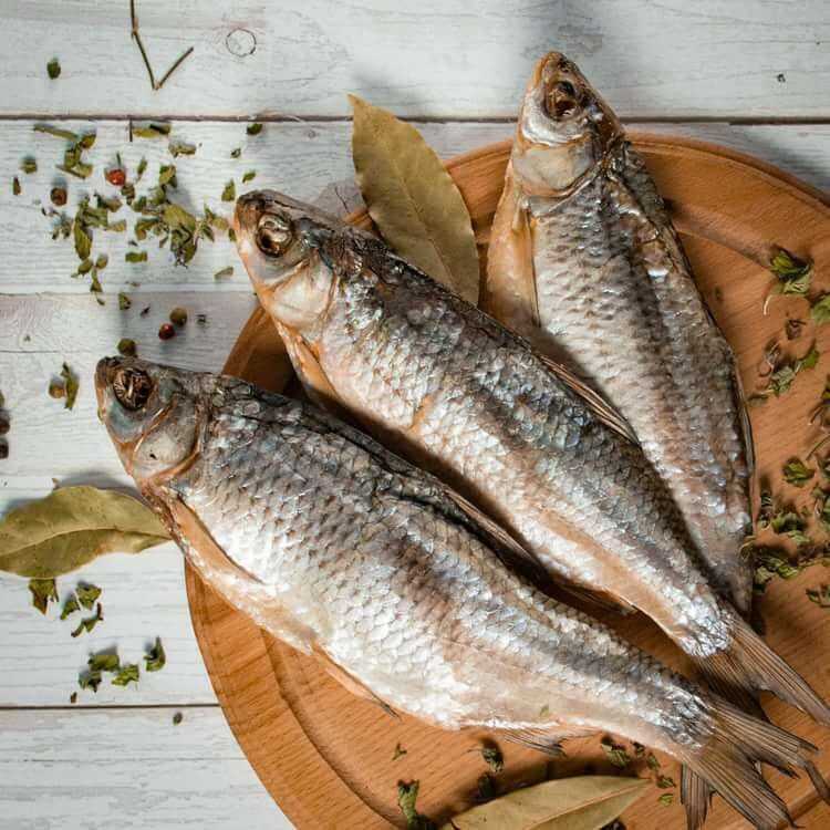 Засолка рыбы в рассоле – 5 очень вкусных домашних рецептов
