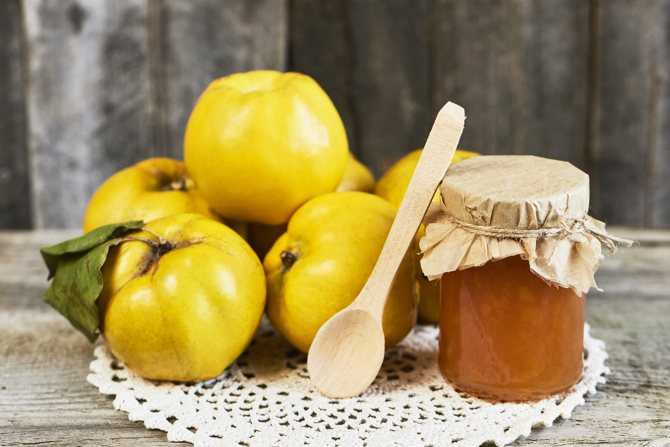 Варенье из айвы на зиму — самые вкусные рецепты с лимоном, орехами, яблоками