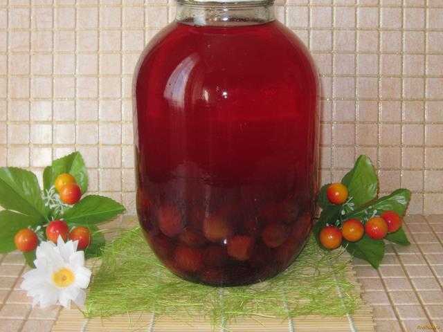 Рецепты компота из алычи: простой и полезный напиток с ягодами, фруктами, пряностями