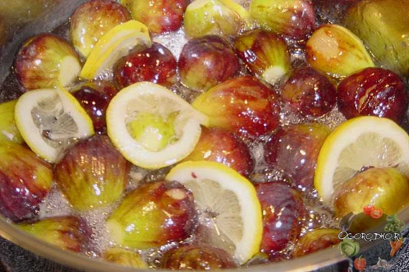 Как сварить варенье из инжира на зиму: пошаговые рецепты приготовления с лимоном и грецкими орехами и фундуком с фото в домашних условиях