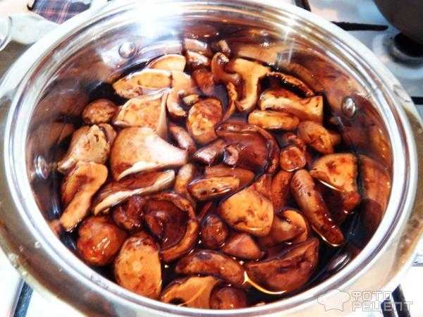Как правильно обрабатывать, варить и жарить свинушки: лучшие рецепты грибных блюд, грибная икра, грибной суп со свинушками в мультиварке, духовке, на плите, сковороде
