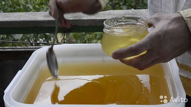 Акациевый мед: полезные свойства, противопоказания | мёд | пчеловод.ком