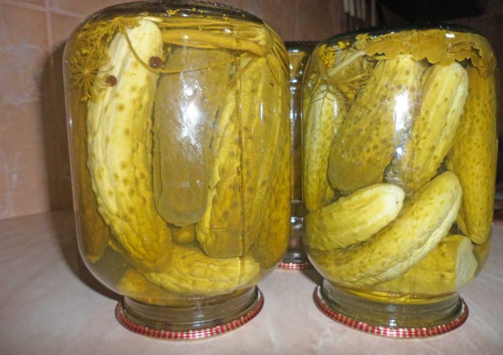Огурцы с лимонной кислотой на зиму - 7 рецептов маринованных огурцов в банках с пошаговыми фото