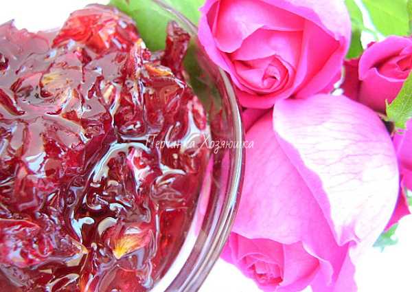 Варенье из лепестков розы: рецепт в домашних условиях