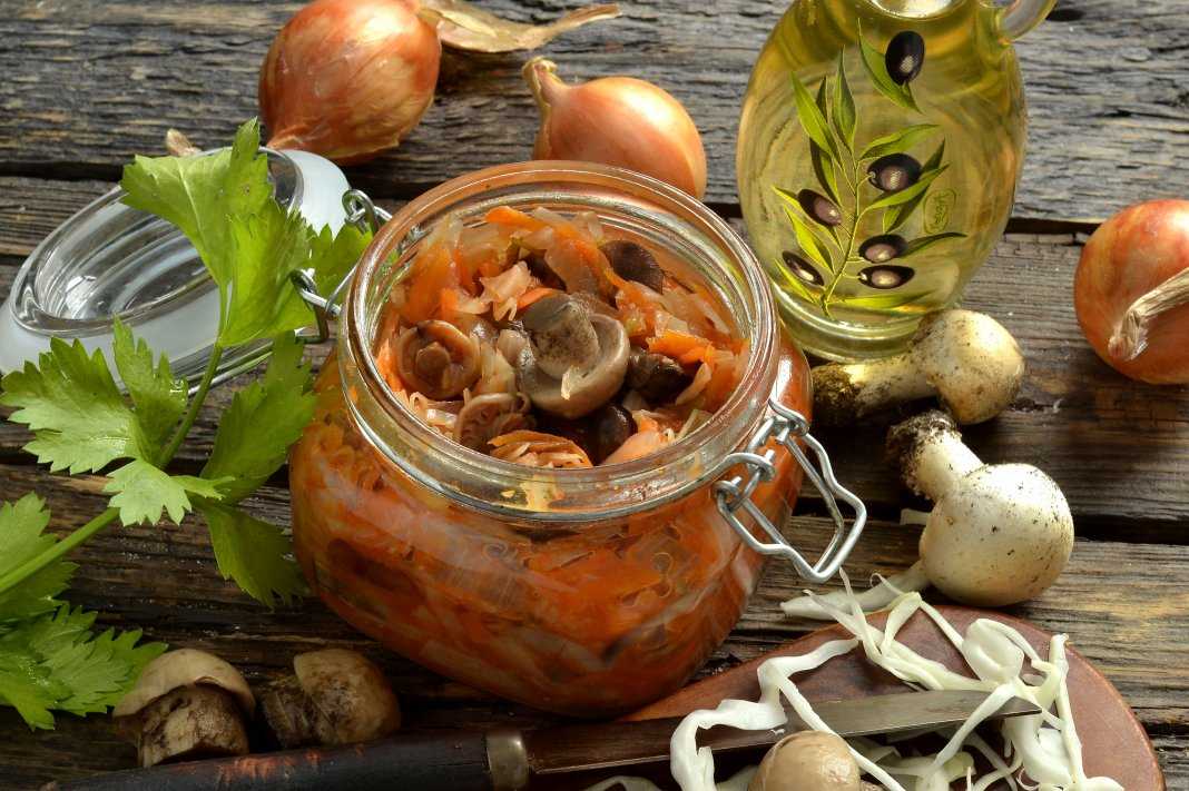 Солянка с грибами на зиму — рецепты приготовления с капустой в домашних условиях