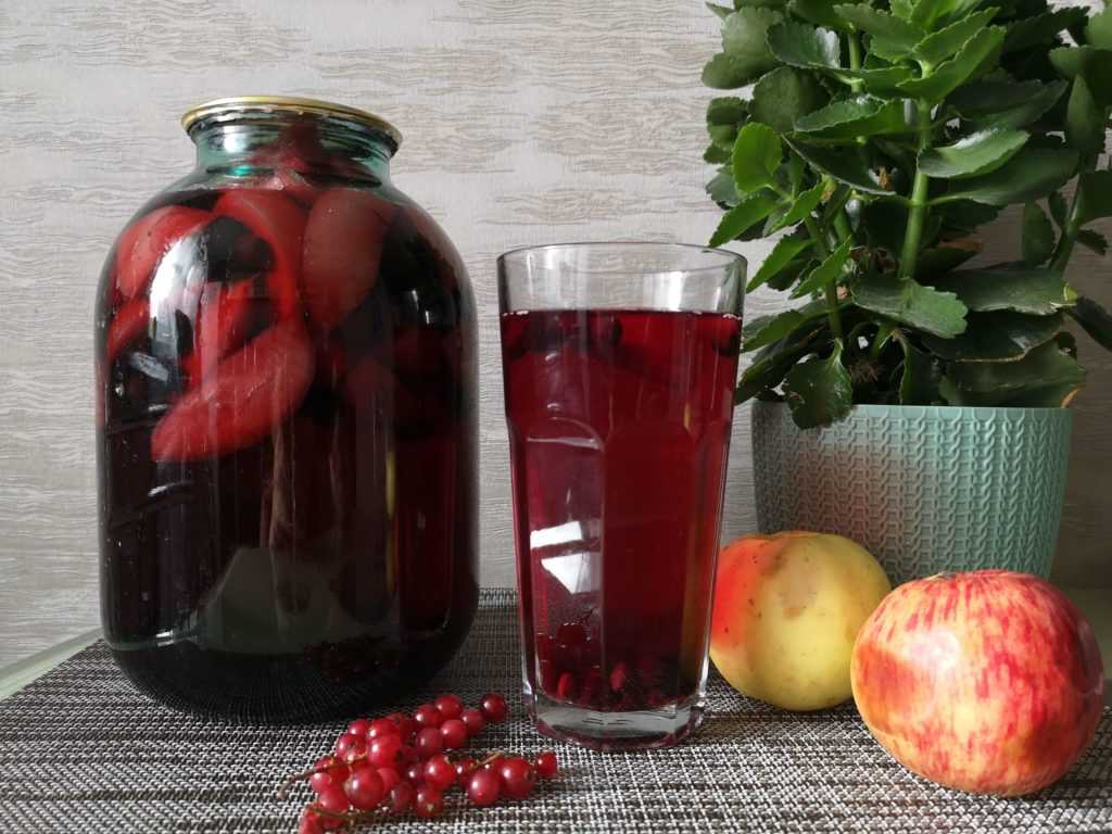 Закатать компот из красной рябины - 3 рецепта полезного напитка на зиму