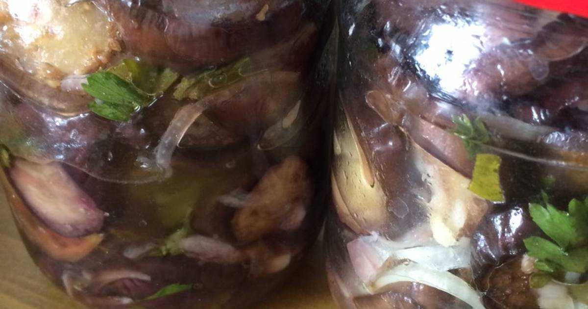 Баклажаны как грибы: быстрые и вкусные рецепты без стерилизации на зиму