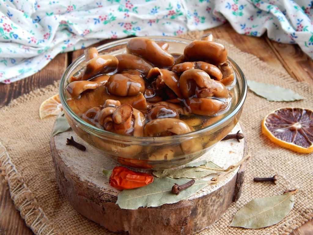Как солить рыжики - рецепты засолки грибов холодным, горячим способом и в бочке