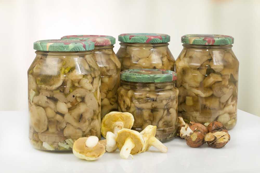 Рецепт консервированных грибов. рецепты приготовления консервированных шампиньонов и блюд из них