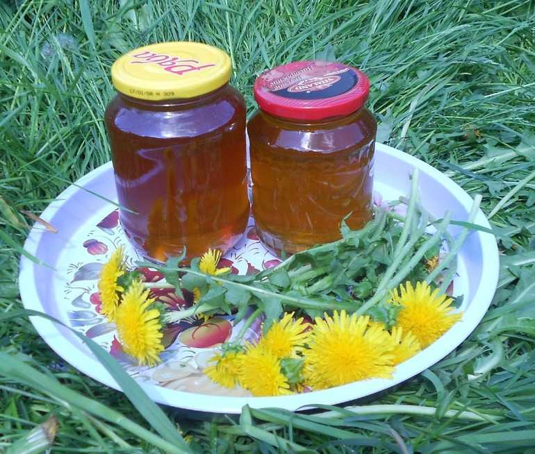 Варенье из одуванчиков (одуванчиковый мёд) - кулинарный рецепт. миллион меню