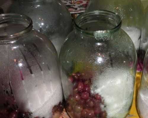 Компот из винограда на зиму - 5 рецептов на 3 литровую банку