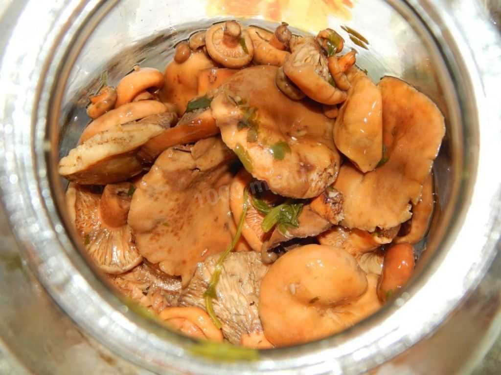 Как приготовить самые вкусные грибы рыжики на зиму?