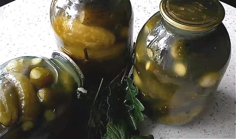 Огурцы соленые на зиму, хрустящие: в банках для хранения в квартире, 10 лучших рецептов