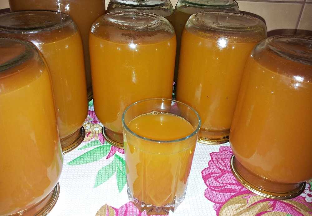 Топ 3 рецепта приготовления яблочно-морковного сока на зиму в домашних условиях