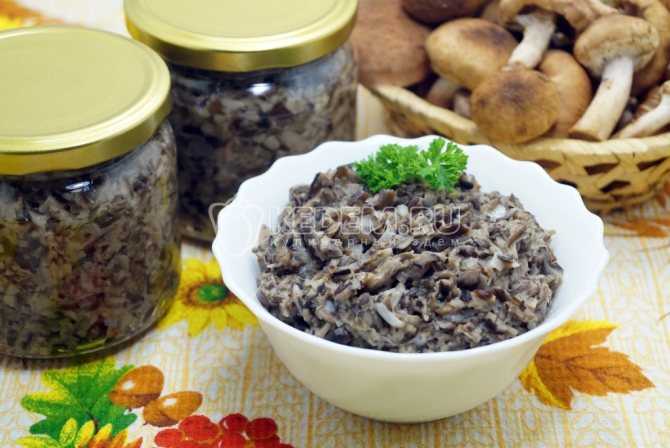 Икра из груздей на зиму: топ-10 рецептов приготовления из сырых и сухих грибов с фото