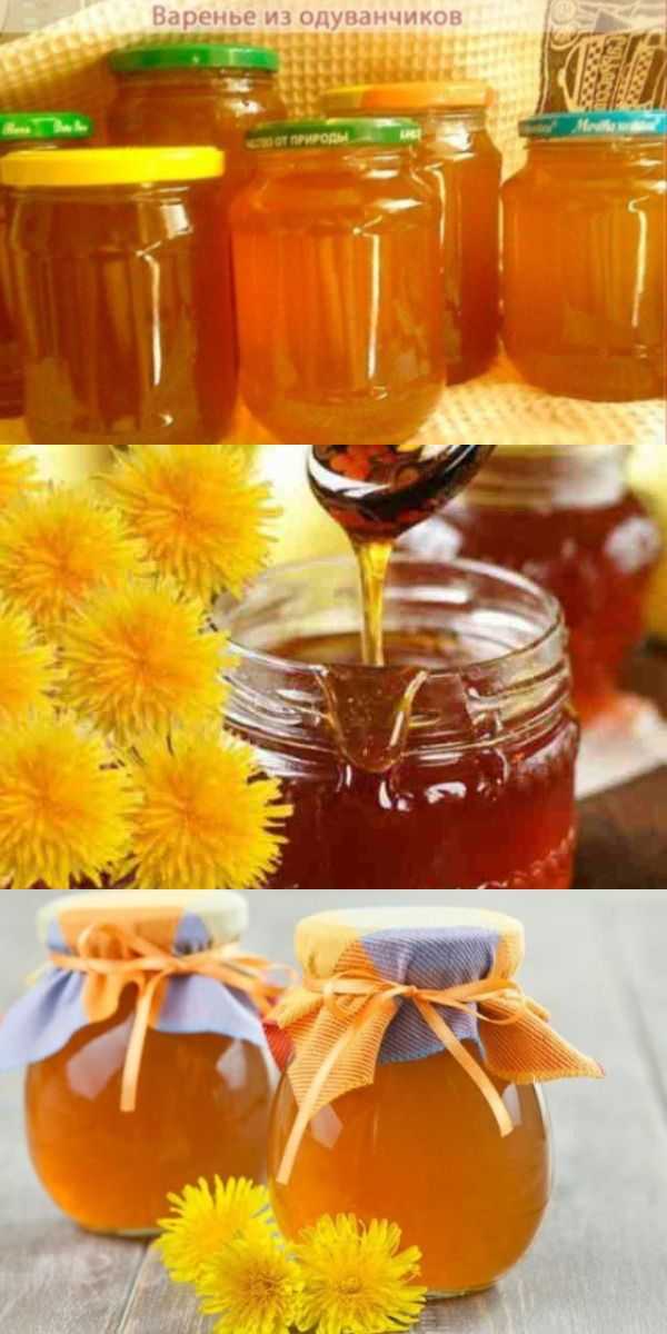 Варенье из одуванчиков - рецепт приготовления. как сварить одуванчиковый мед в домашних условиях?