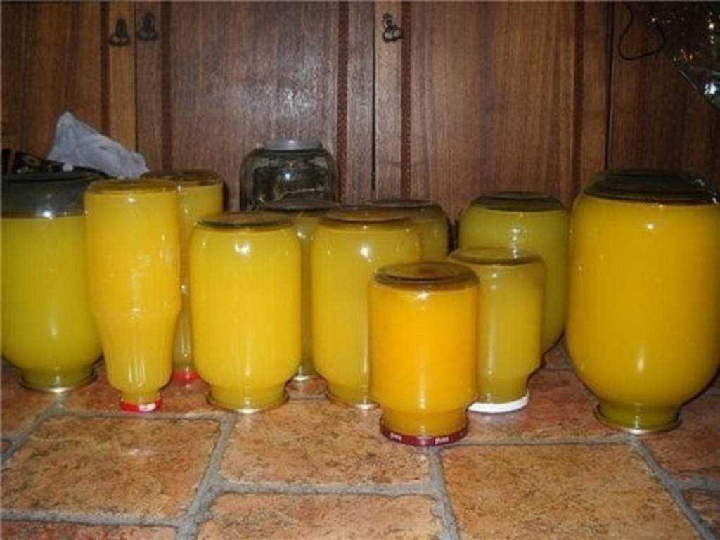 Тыквенный сок с апельсинами в домашних условиях на зиму. тыквенный сок с апельсином.