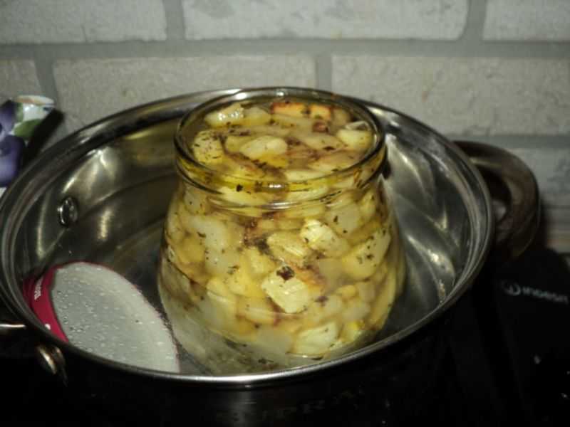 Заготовка на зиму из кабачков без стерилизации рецепты вкусные, домашние
