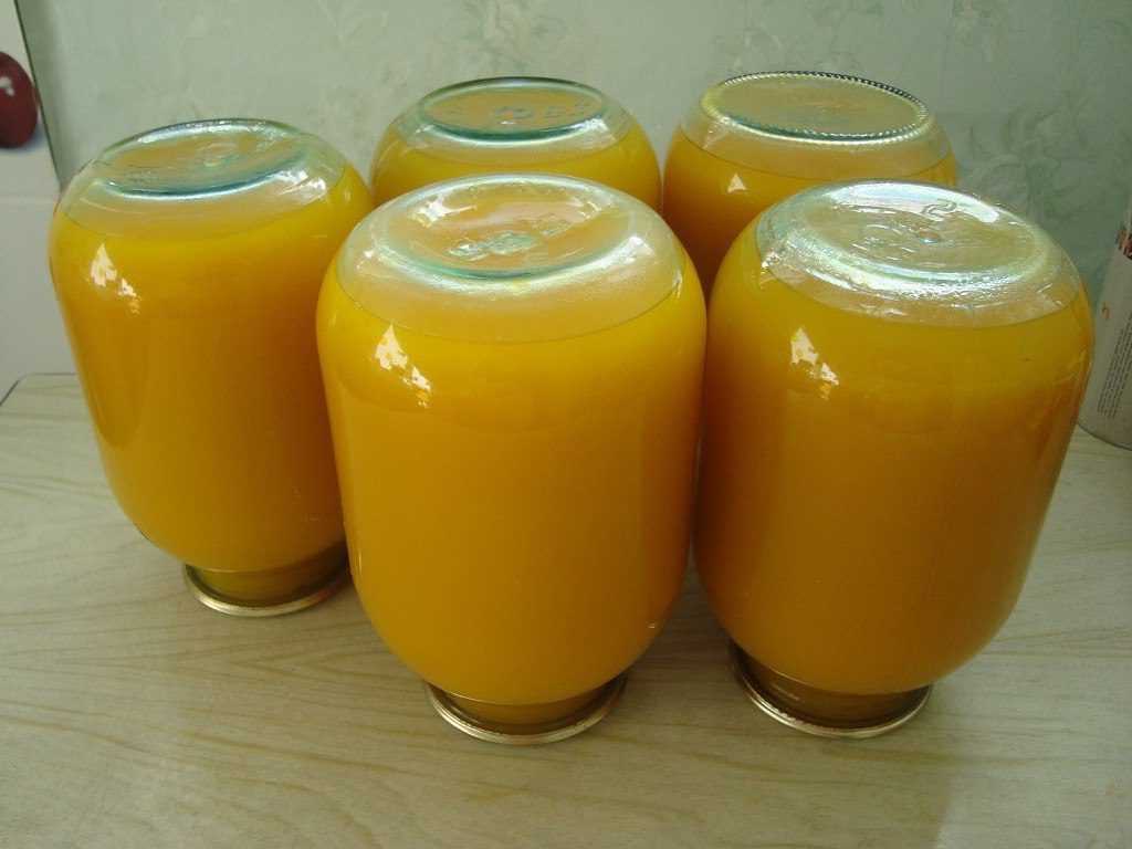 Тыквенный сок с апельсинами на зиму – витаминный заряд! рецепты сока из тыквы с апельсинами для солнечного настроения