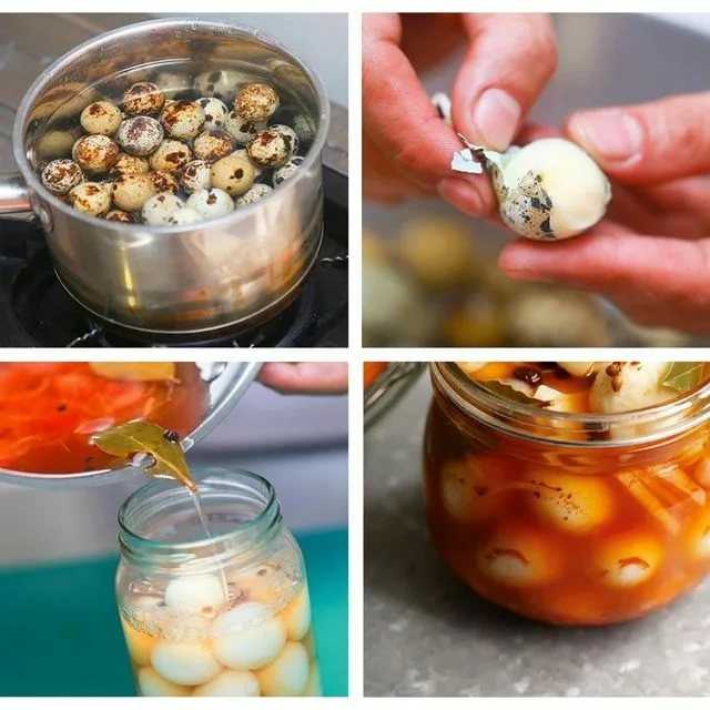 Маринованные перепелиные яйца пошаговый рецепт с картинками