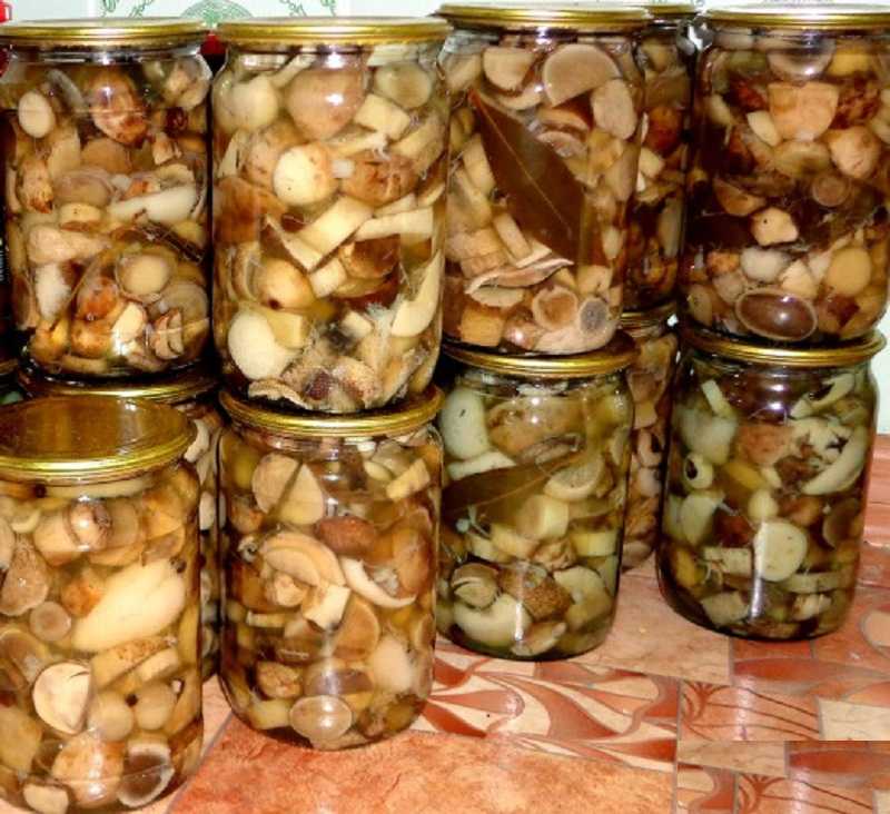 Баклажаны, как грибы, на зиму — 6 лучших рецептов